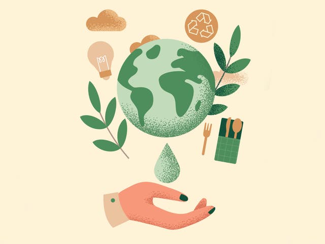 <p>The world may have been gripped by a global pandemic, but that’s not stopped a cascade of environmental calamities </p>