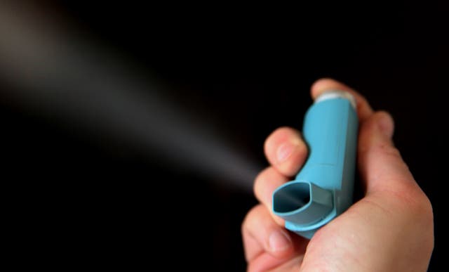 <p>Scientists found that those with an earlier asthma onset also had a slower development of memory</p>