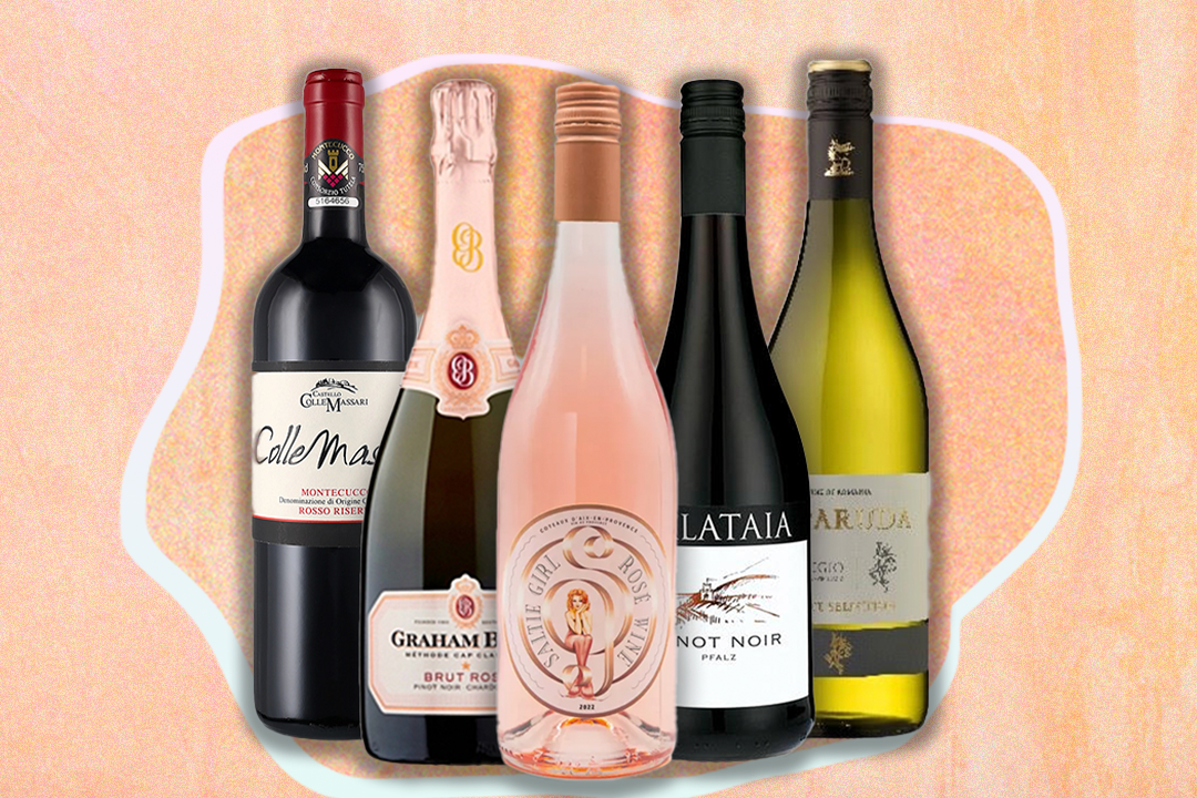 10 best wines under £20 that taste divine, from red to rosé