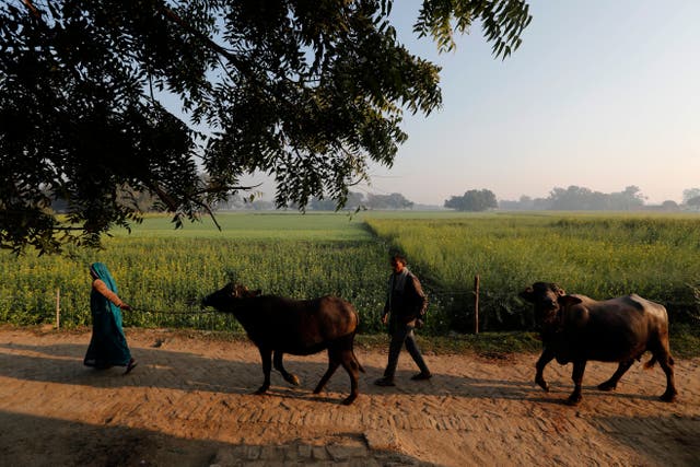 India Methane Emissions