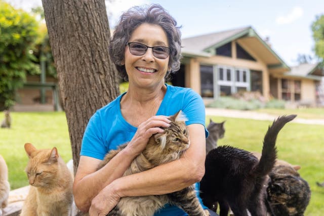 <p>Animal rescuer Lynea Lattanzio with a handful of her many cats</p>