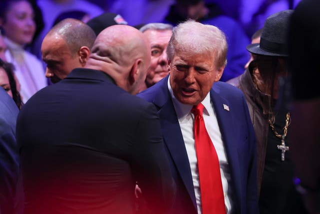 <p>Donald Trump shakes hands with Joe Rogan at Madison Square Garden on Saturday night</p>