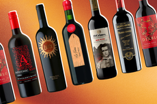 14 best red wines, recommended by a vino expert