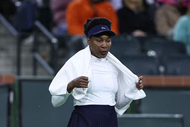 <p>Venus Williams will return to Indian Wells</p>