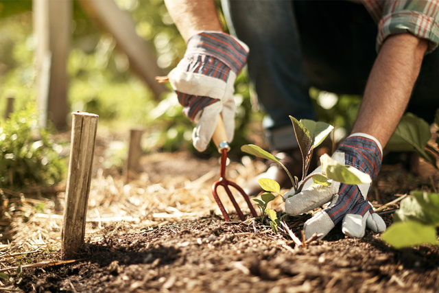 <p>Use our Crocus discount codes to save on outdoor plants, gardening tools and more</p>