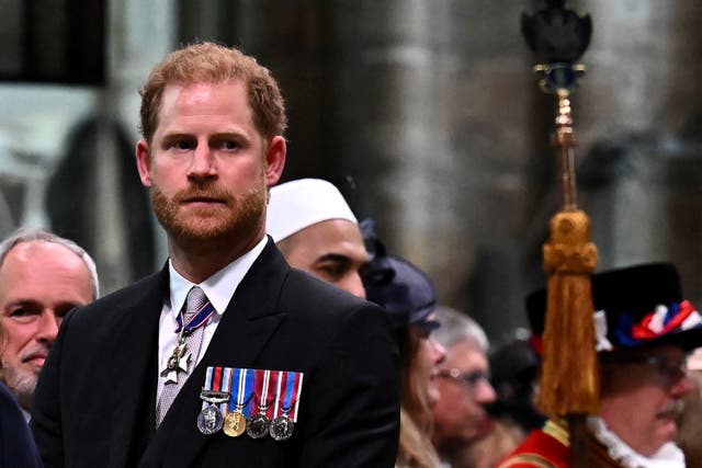 <p>Prince Harry, Duke of Sussex</p>