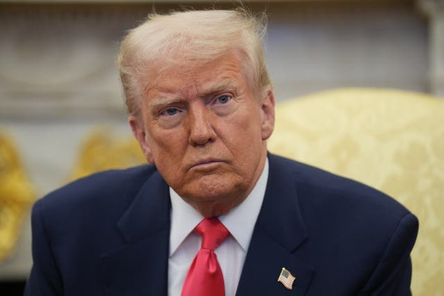 <p>US president Donald Trump’s tariffs policy has shaken the world economy (Niall Carson/PA)</p>