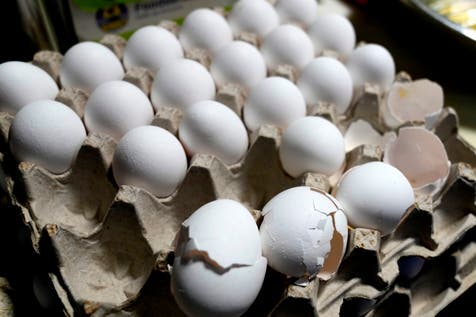 <p>The eggs were distributed from February 3 through May 15 </p>