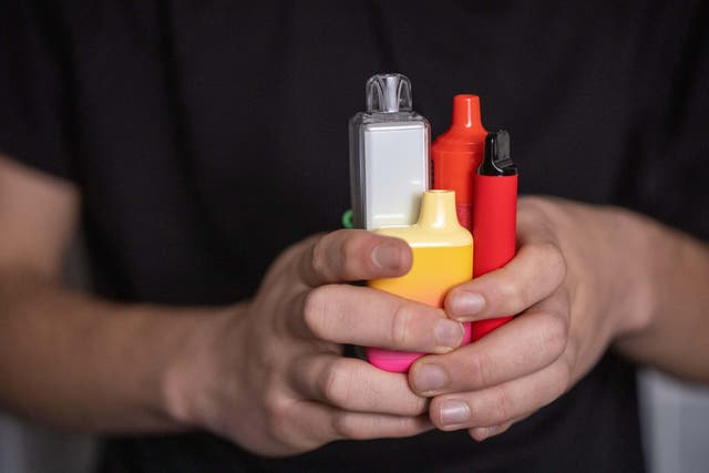 A charity is warning about the dangers of discarded disposable vapes (Alamy/PA)