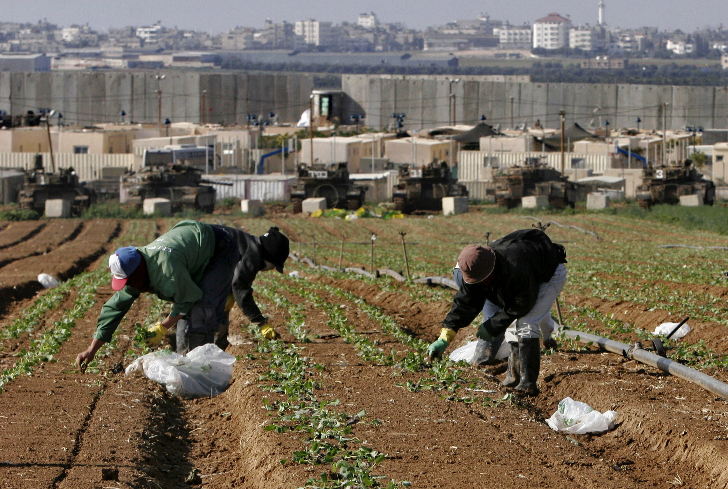 Thai workers work in a field next to an Israeli army base outside the Gaza Strip, near the southern Israeli Kibbutz of Nahal Oz. Thursday, Nov. 30, 2006. (AP Photo/Tsafrir Abayov, File)